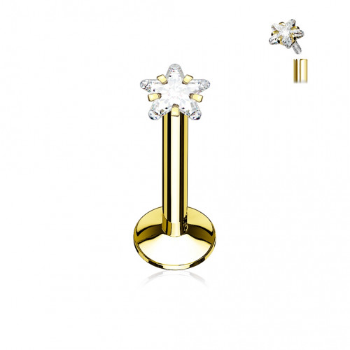 Piercing do brady pozlátený