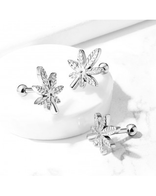 Cartilage piercing do ucha - list