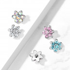 Náhradná kvietka k labrete