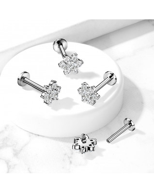 Piercing do brady / cartilage / tragus, kvietka