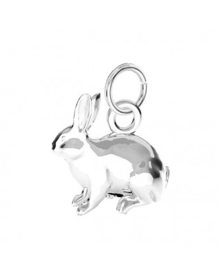 Strieborný prívesok králiček