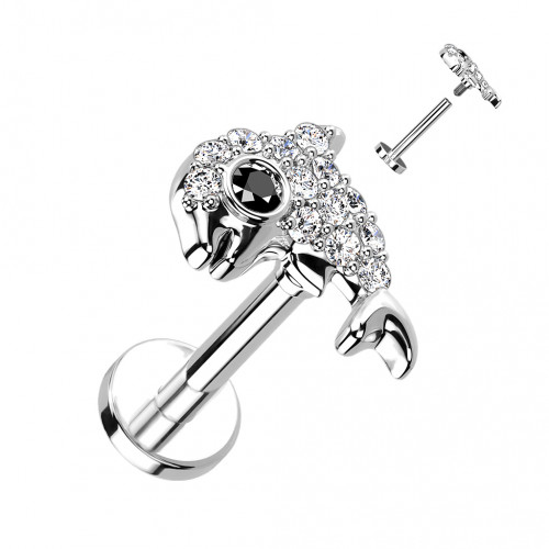 Piercing do brady delfín