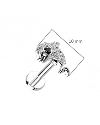 Piercing do brady delfín