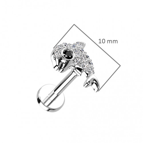 Piercing do brady delfín