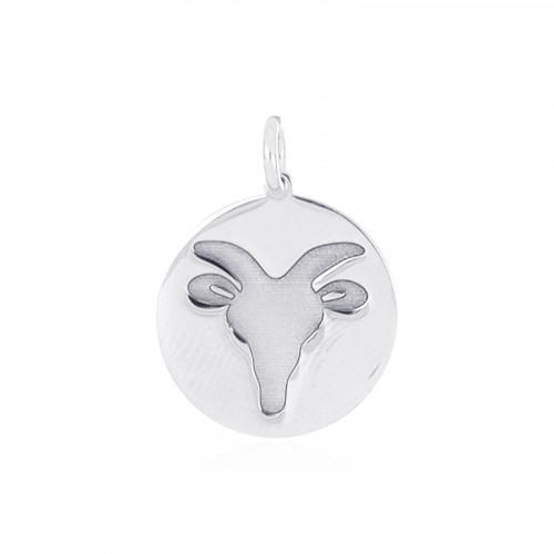 Strieborný prívesok - znamenie