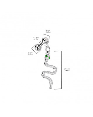 Cartilage piercing do ucha - had