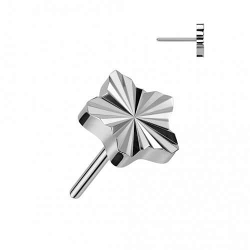 Hviezdička na PUSH IN piercingu TITAN