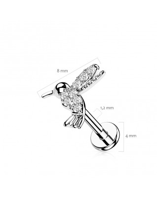 Piercing do brady - kolibrík