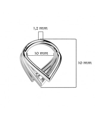 Segment kruh - helix / cartilage / tragus piercing TITAN