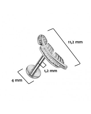 Piercing do brady pierko TITAN