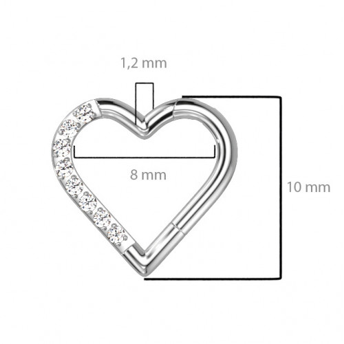 Segment kruh - helix / cartilage / tragus / septum piercing TITAN, 1,2 x 8 mm