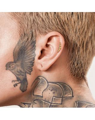 Piercing do brady / ucha TITAN