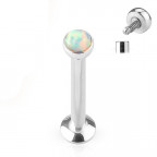 Piercing do brady - labreta 1,2 x 8 mm