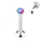 Piercing do brady - Labreta 1,2 x 6 mm