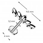 Piercing do brady labreta / cartilge