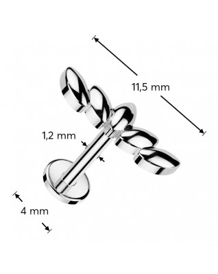 Piercing do brady labreta / cartilge