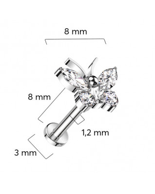 Piercing do brady - labreta TITAN