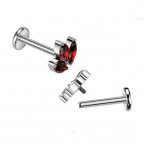 Piercing do brady - labreta TITAN