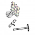 Piercing do brady - labreta TITAN