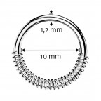 Segment kruh - helix / cartilage / tragus piercing