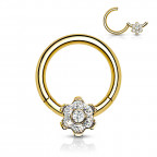 Segment kruh - septum piercing TITAN