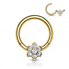 Segment kruh - septum piercing TITAN