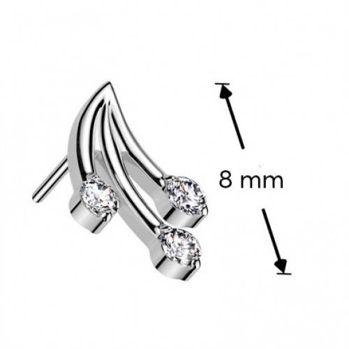 Ozdobná časť k PUSH IN piercingu TITAN, vetvička