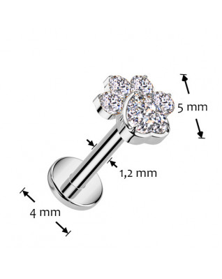 Piercing do brady - labreta TITAN