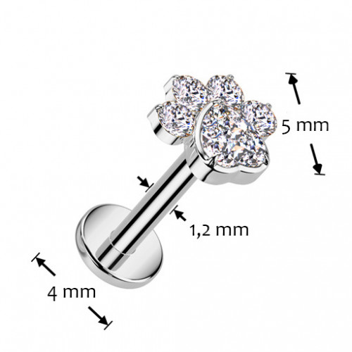 Piercing do brady - labreta TITAN