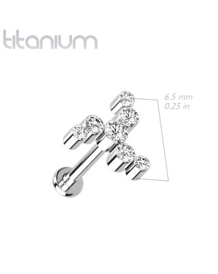 Piercing do brady / ucha TITAN