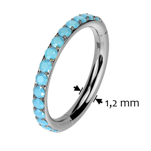 Segment kruh - helix / cartilage / tragus piercing TITAN