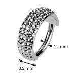 Segment kruh - helix / cartilage / tragus piercing TITAN