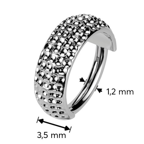 Segment kruh - helix / cartilage / tragus piercing TITAN