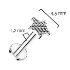 Piercing do brady - labreta TITAN, 1,2 x 8 mm
