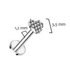 Piercing do brady - labreta TITAN, 1,2 x 8 mm