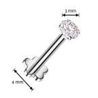 Piercing do brady - labreta TITAN