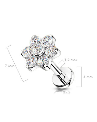 Piercing do brady / ucha TITAN