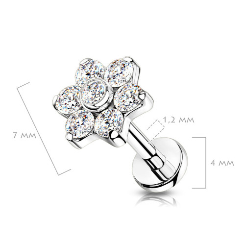 Piercing do brady / ucha TITAN