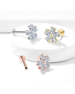 Piercing do brady - labreta kytička